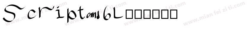 script 6L字体转换